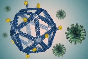 DNA折叠成病毒状