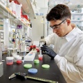 Gregory Ekchian in his lab