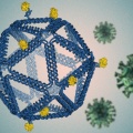 DNA折叠成类似病毒的结构