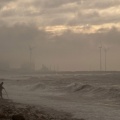 Image of shore and wind turbines